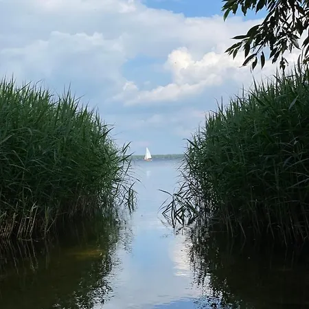 Neu Familienfreundliche In Seennaehe Im Leipziger Sueden *