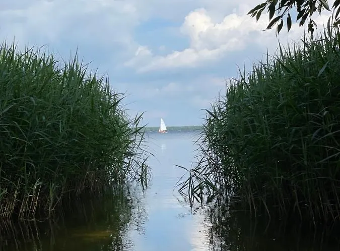 Neu Familienfreundliche In Seennaehe Im Leipziger Sueden *